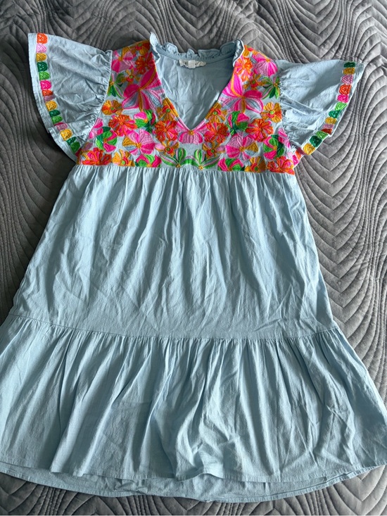 THML Dresses & Skirts - THML Light Blue Mini Dress with Bright Floral Embroidery